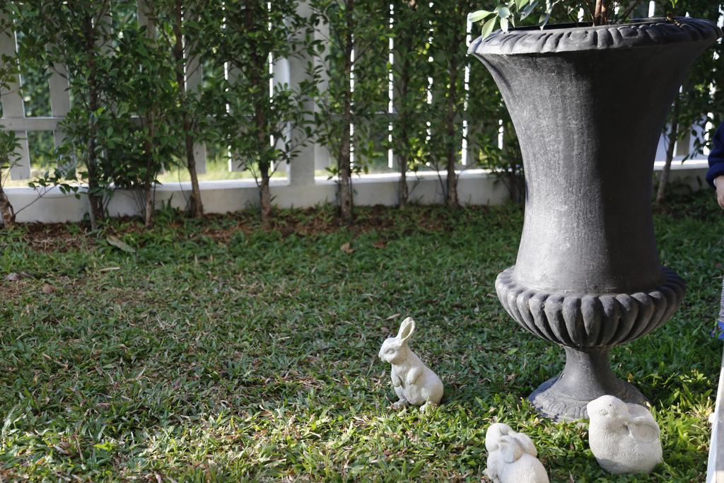 Mona Chiangmai Boutique Hotel Chiang Mai Luaran gambar